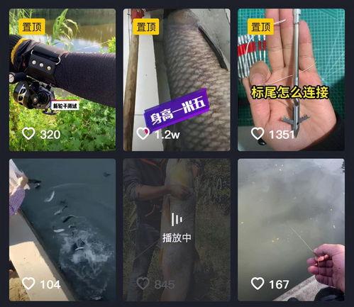 鱼爆料的视频大全播放网站,海量热门视频一网打尽